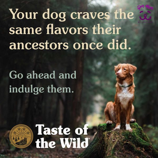غذا خشک سگ taste of the wild